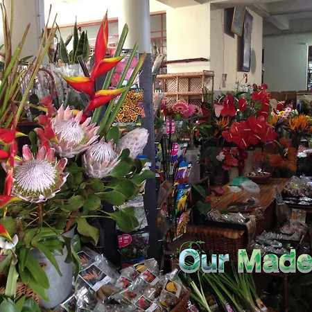 Ourmadeira - Heart Of Old Town Ii Daire