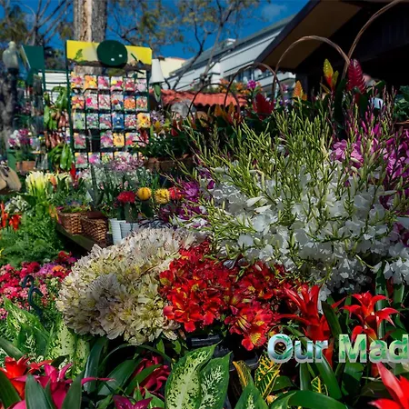 Daire Ourmadeira - Heart Of Old Town Ii *