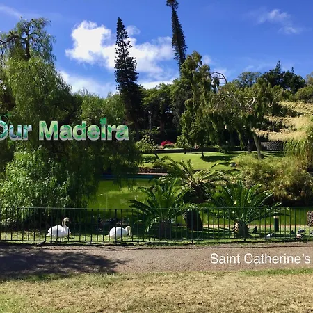 Ourmadeira - Heart Of Old Town Ii * Funchal