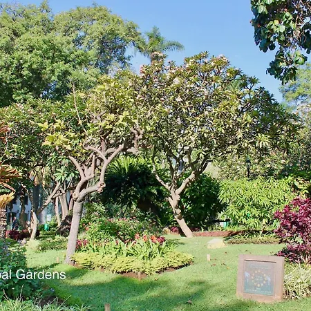 Ourmadeira - Heart Of Old Town Ii *