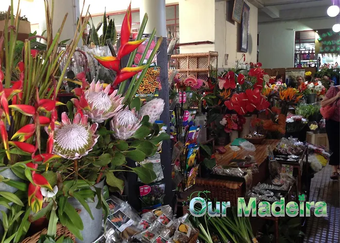 Ourmadeira - Heart Of Old Town Ii 公寓
