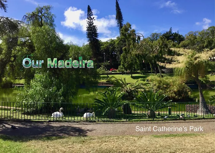 Ourmadeira - Heart Of Old Town Ii * 丰沙尔